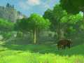 The Legend of Zelda - Breathe of Wild (27)