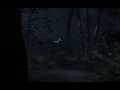 SHADOW OF THE COLOSSUS™_20180208195958