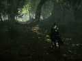 SHADOW OF THE COLOSSUS™_20180212192240