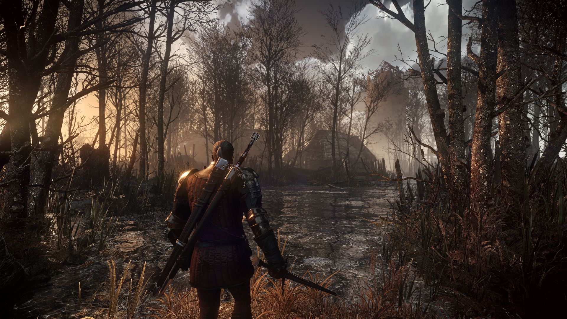 the_witcher_3_wild_hunt_a_mysterious_village_in_the_swamps_1402422232