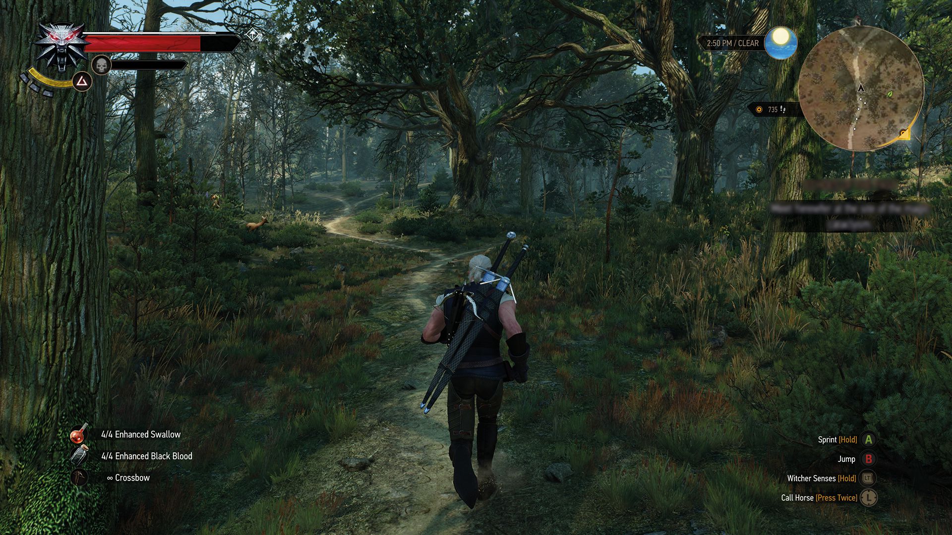 the_witcher_3_wild_hunt_real_witchers_wear_short_sleeves_when_jogging_in_the_woods_1430900917