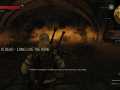 the_witcher_3_wild_hunt_druids_always_seem_like_nice_normal_guys_until_you_see_their_bedrooms_1430900897