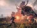 the_witcher_3_wild_hunt_geralt_vs_fiend_1402422270