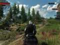 the_witcher_3_wild_hunt_maybe_i_should_pick_some_of_these_flowers_for_yen_sorceresses_dig_flowers_1430900908
