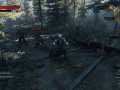 the_witcher_3_wild_hunt_one_witcher_and_three_corpses_to_be_1430900915
