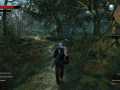 the_witcher_3_wild_hunt_real_witchers_wear_short_sleeves_when_jogging_in_the_woods_1430900917