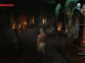 the_witcher_3_wild_hunt_whats_a_guy_gotta_do_around_here_to_get_a_fresh_towel_1430900933