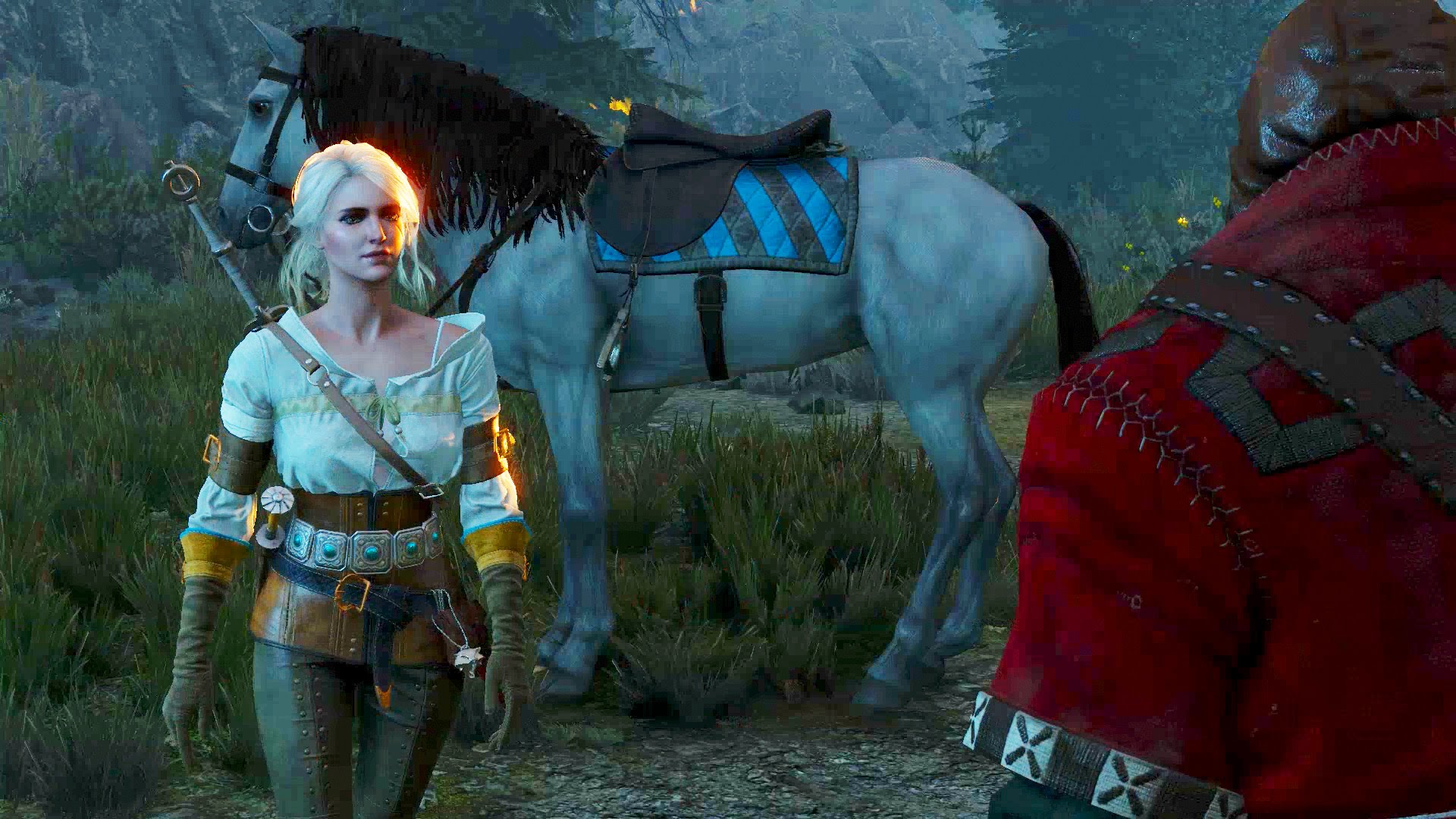 The witcher 3 geralt horse фото 78